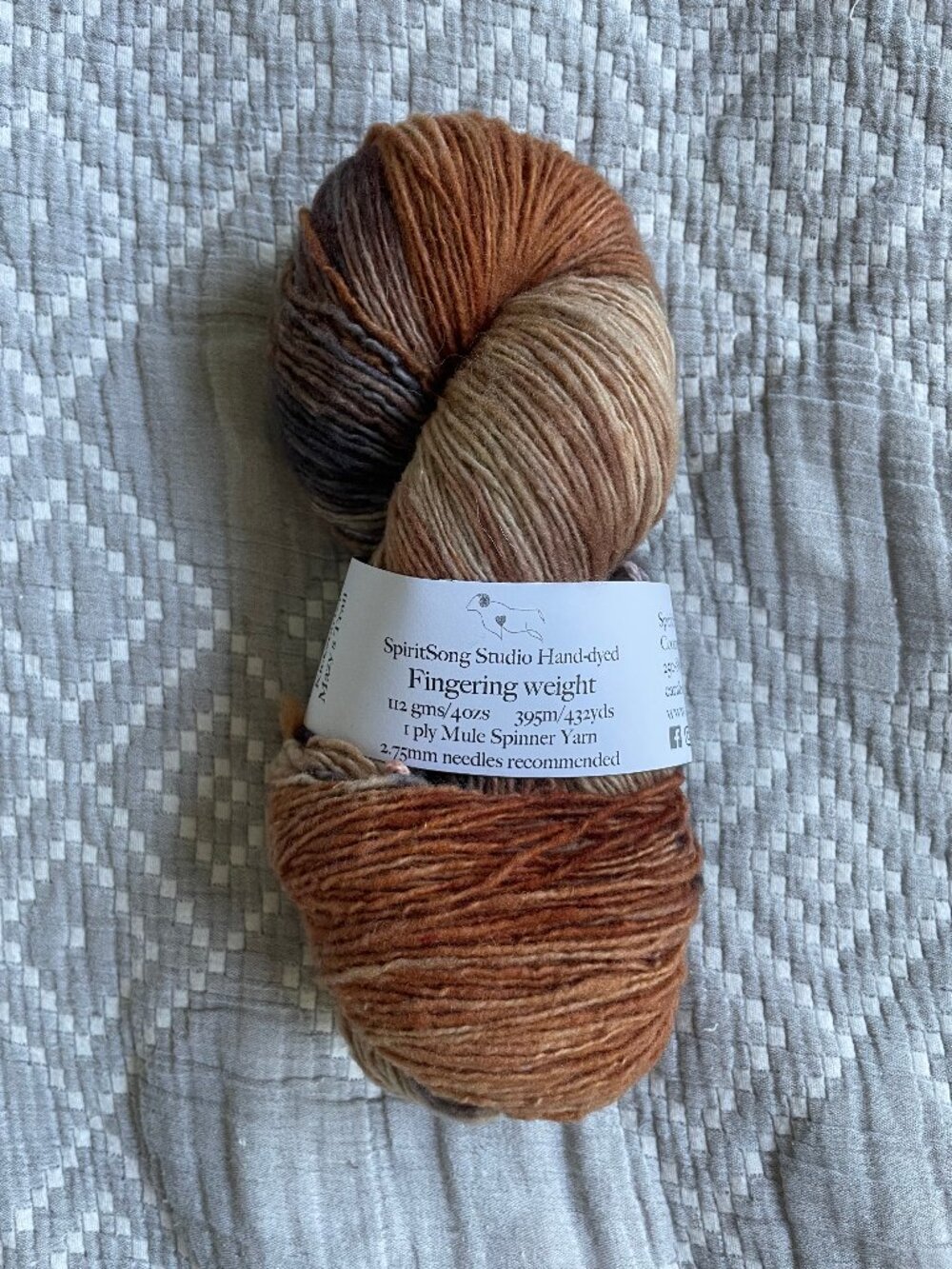 SpiritSong Fibre Studio Hand-dyed Fingering Weight Variegated Brown Yarn